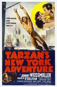 Tarzan's New York Adventure movie poster