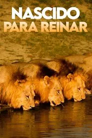 Poster do filme Nascido para Reinar