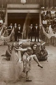 Poster do filme Des Lebens ungemischte Freude