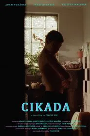Cicada movie poster