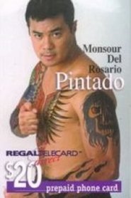 Pintado movie poster