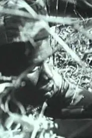 Poster do filme Anos de Guerra - Guiné 1963-1974
