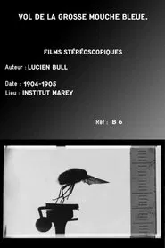 Series 1 (insect flights) movie poster