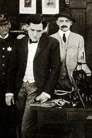 Poster do filme The Flaw in the Alibi