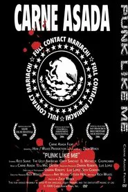 Punk Like Me movie poster