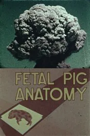 Poster do filme Fetal Pig Anatomy