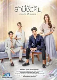 Overnight Husband tv show poster