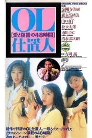 OL punisher 48 hours of love and revenge movie poster