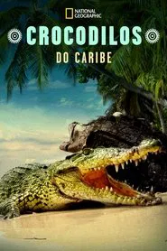 Poster do filme Crocodilos do Caribe