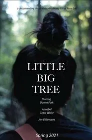 Little Big Tree movie poster