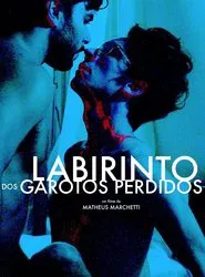 Poster do filme Labyrinth of Lost Boys