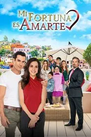 Your Love Is My Fortune tv show poster