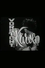 Vorsicht Kurven movie poster