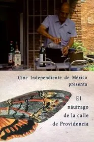 The Castaway on the Street of Providence movie poster