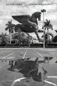 Desire Lines movie poster