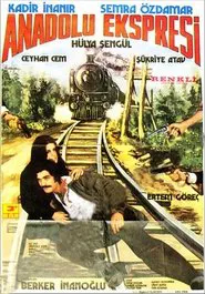 Anadolu Ekspresi movie poster