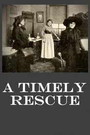 A Timely Rescue movie poster