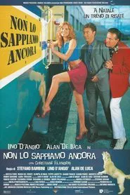 Non lo sappiamo ancora movie poster