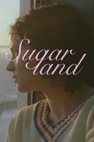 Sugarland movie poster