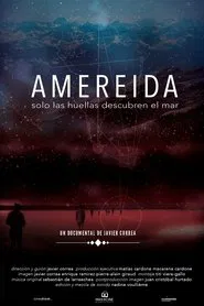 Amereida, sólo las huellas descubren el mar movie poster