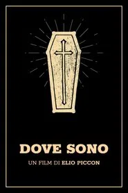 Dove sono movie poster