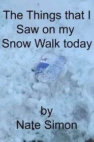 The Things that I Saw on my Snow Walk today movie poster