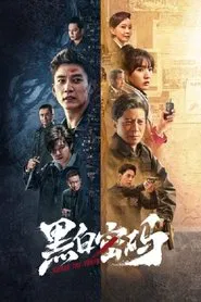 Chase the Truth tv show poster