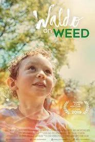 Waldo on Weed movie poster