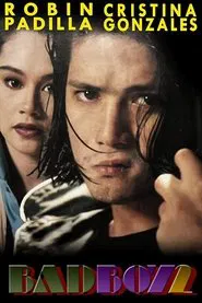 Bad Boy II movie poster