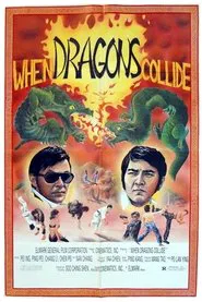 The Rendezvous of Warriors movie poster