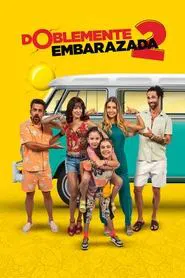 Double Pregnant 2 movie poster