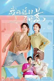 Meet Love Again tv show poster