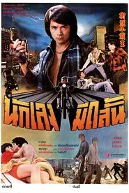 Golden Fists of a Duo movie poster