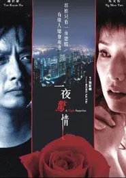 A Night Surprise movie poster