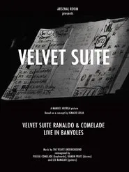 Poster do filme Velvet Suite