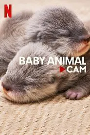 Baby Animal Cam tv show poster