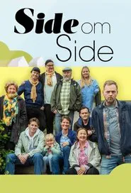Side by Side tv show poster