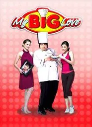 My Big Love movie poster
