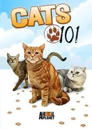 Cats 101 tv show poster