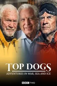 Top Dogs: Adventures in War, Sea and Ice tv show poster