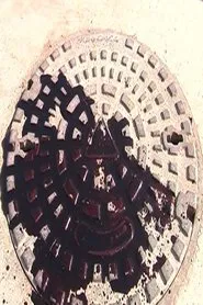 Paradoxes movie poster