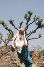 Poster do filme Lynch Nation