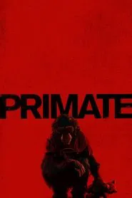 Poster do filme Primate