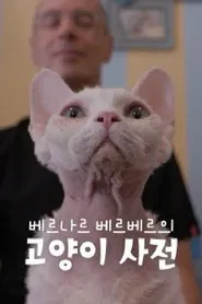 베르나르 베르베르의 고양이 사전 tv show poster