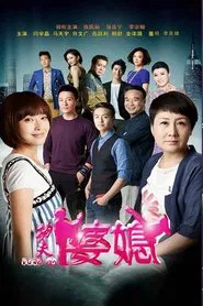 功夫婆媳 tv show poster