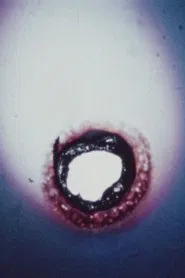 24 Frames per Second movie poster