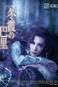 Paris in the Winter Fog movie poster