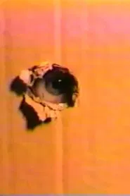 Night Sweats movie poster