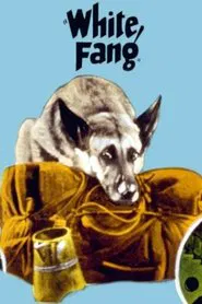 Poster do filme White Fang