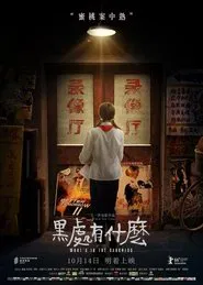 Poster do filme What’s in the Darkness